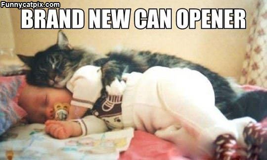 A New Can Opener
