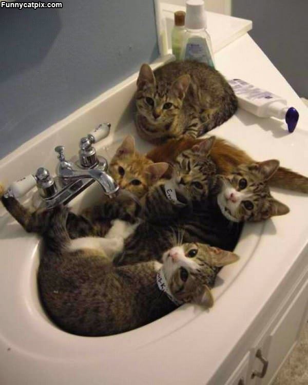 A Sink Full