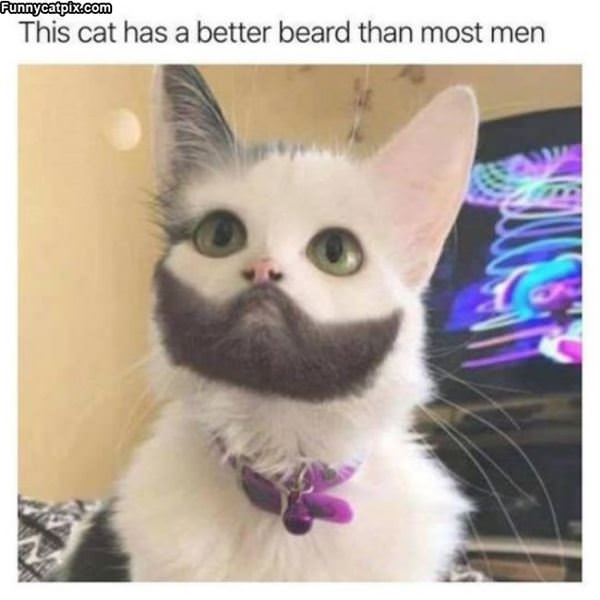 An Amazing Beard