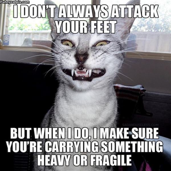 Attacking Your Feet