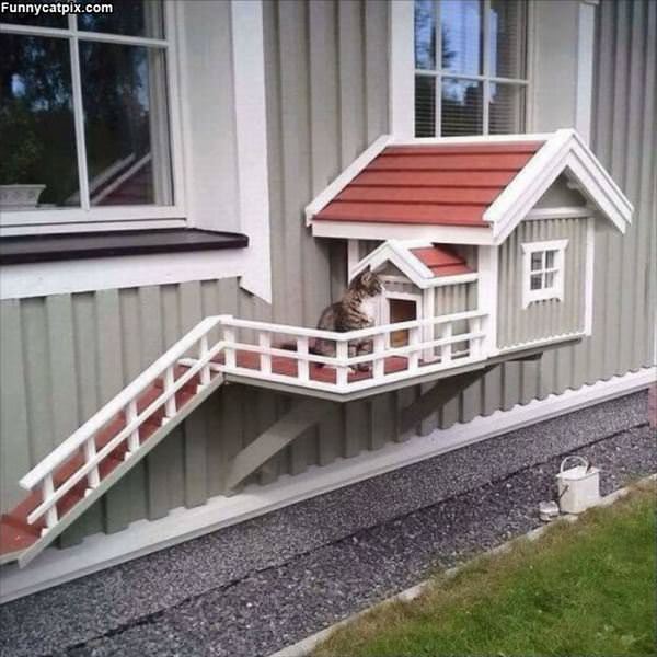 Awesome Cat House