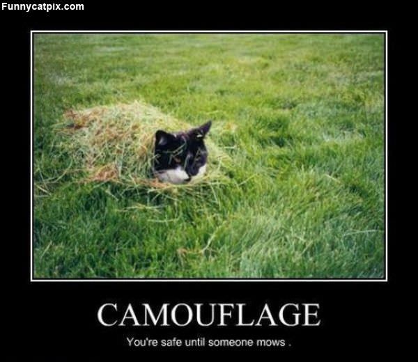 Camoflage