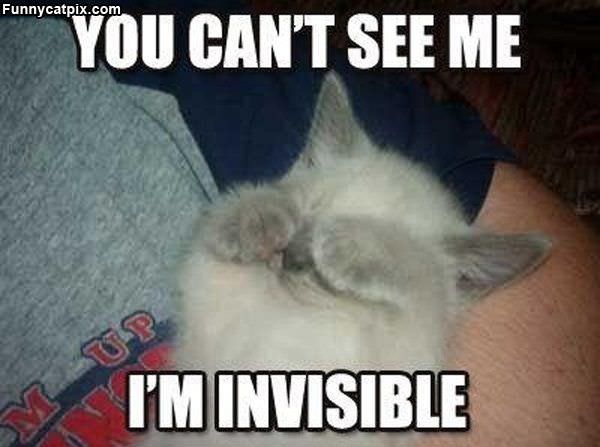 Cant See Me