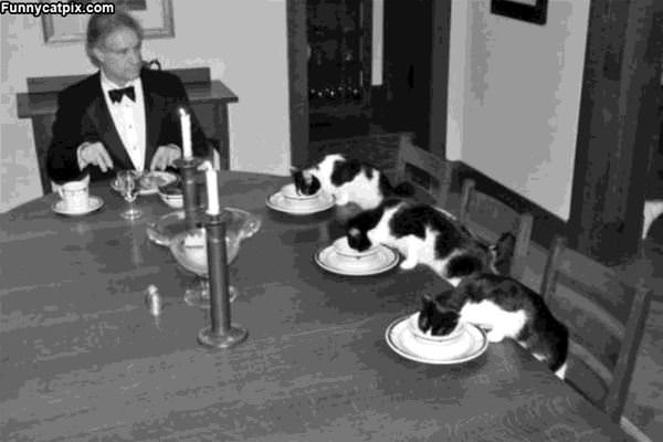 Eating Dinner Together