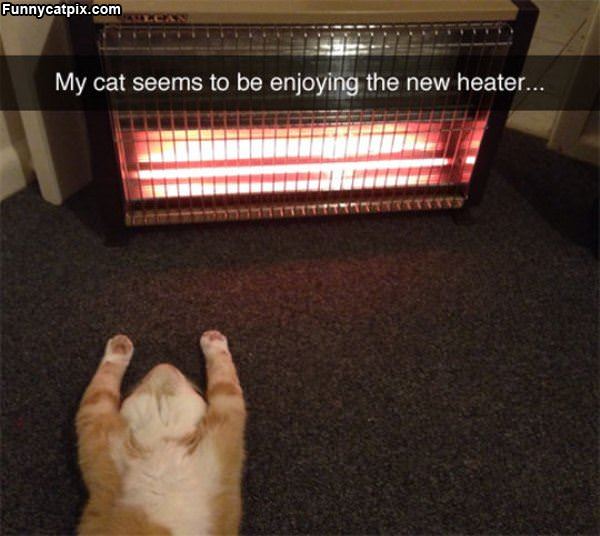 Enjoying The Heater