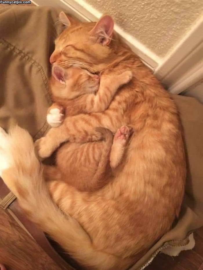 Getting All Hugged Up