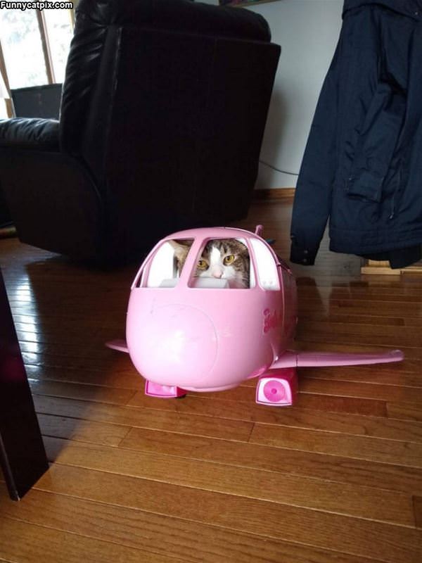 Getting Ready For Take Off