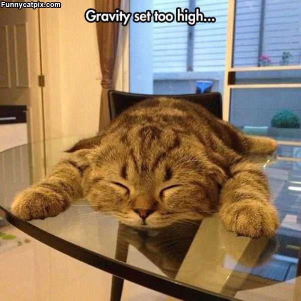 Gravity Too High