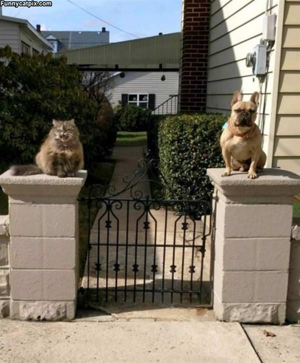 Guardians Of This Property