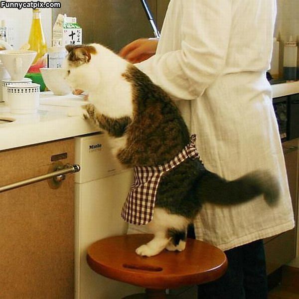 Helping In The Kitchen