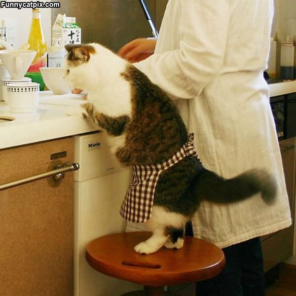 Helping With Cooking