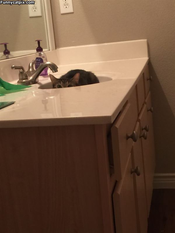 Hiding Below The Sink Line