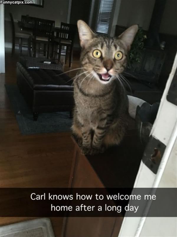 How To Welcome Home