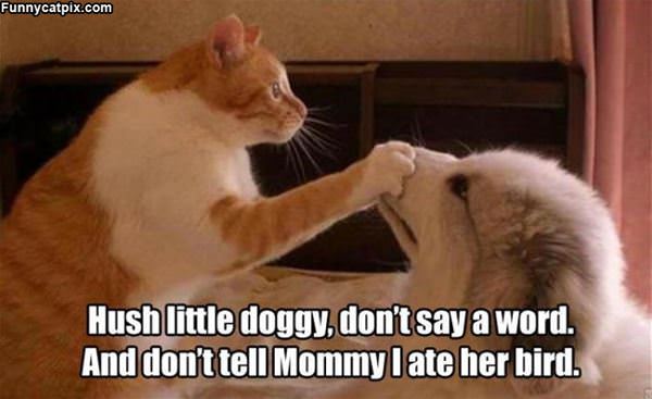 Hush Little Doggy