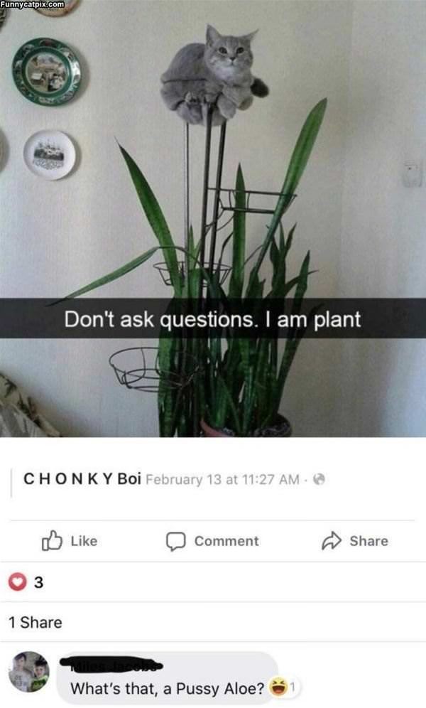 I Am A Plant