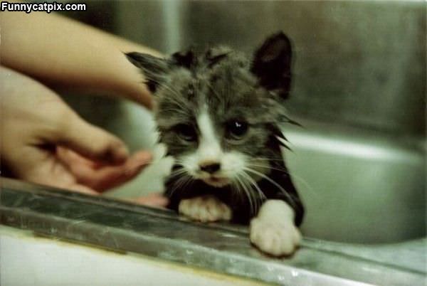 I Hates Bath Time
