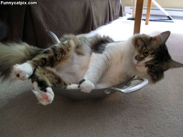 I Have This Bowl