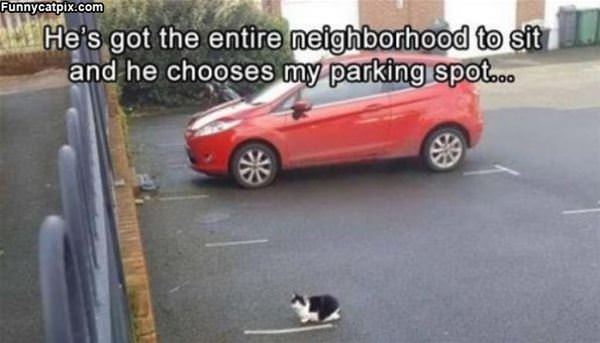 I Took A Parking Spot