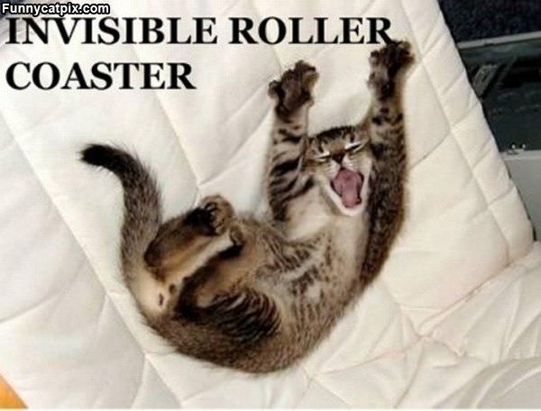 Invisible Roller Coaster