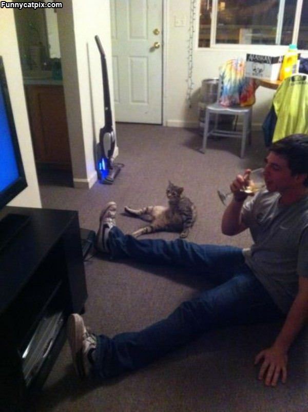 Just Watching Tv Together