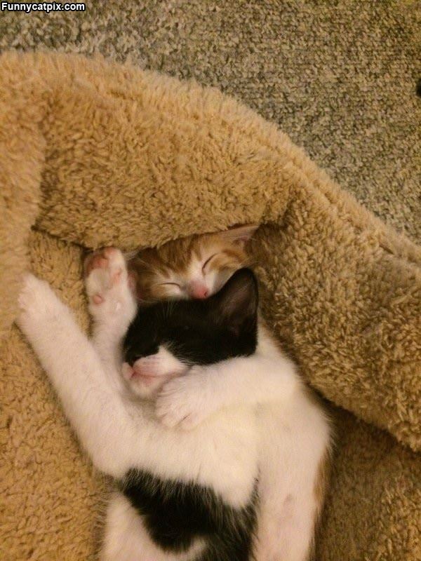 Keeping Each Other Warm