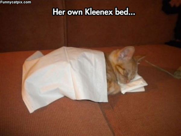 Kleenex Bed