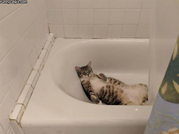 Lounging In The Tub