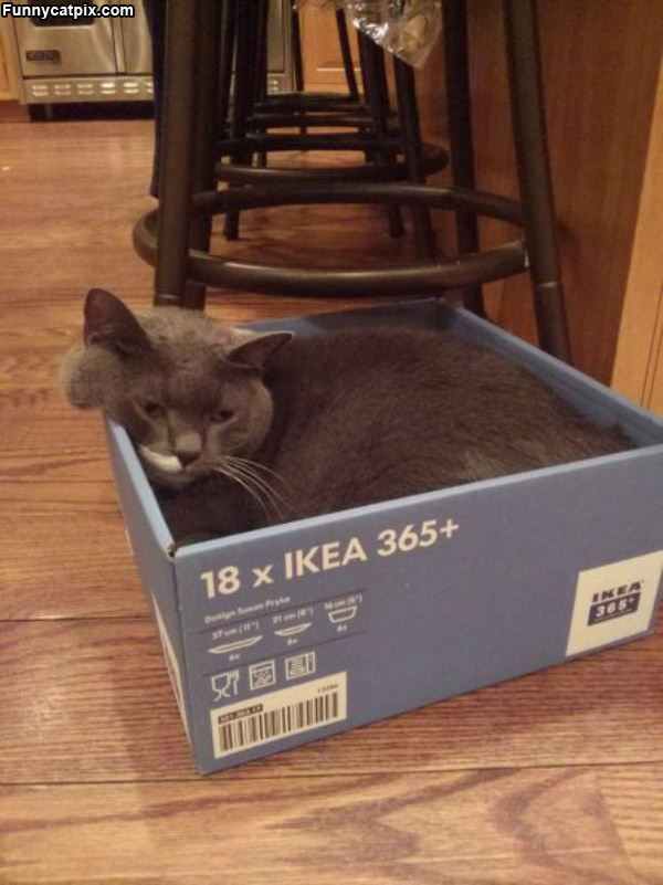 My Ikea Box