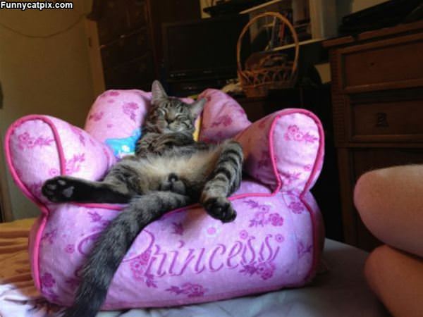 My Princess Chair