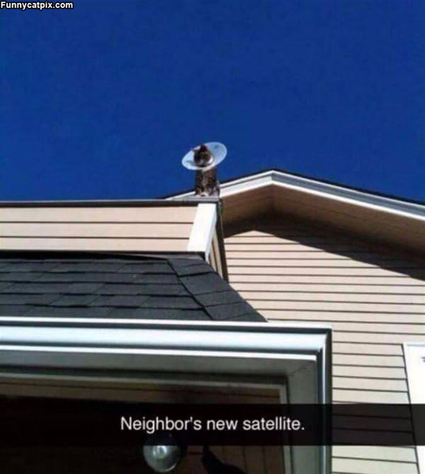 New Satellite