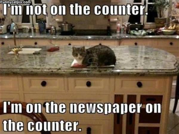 Not On The Counter