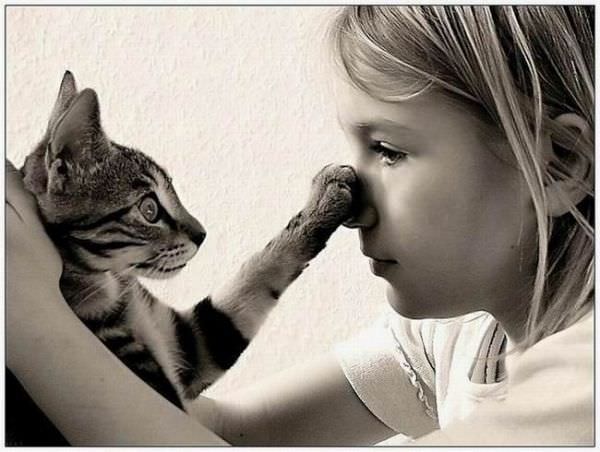Ohh I Got Your Nose Cat