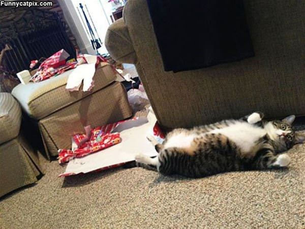 Opened All The Presents