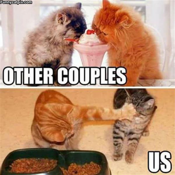 Other Couples And Us