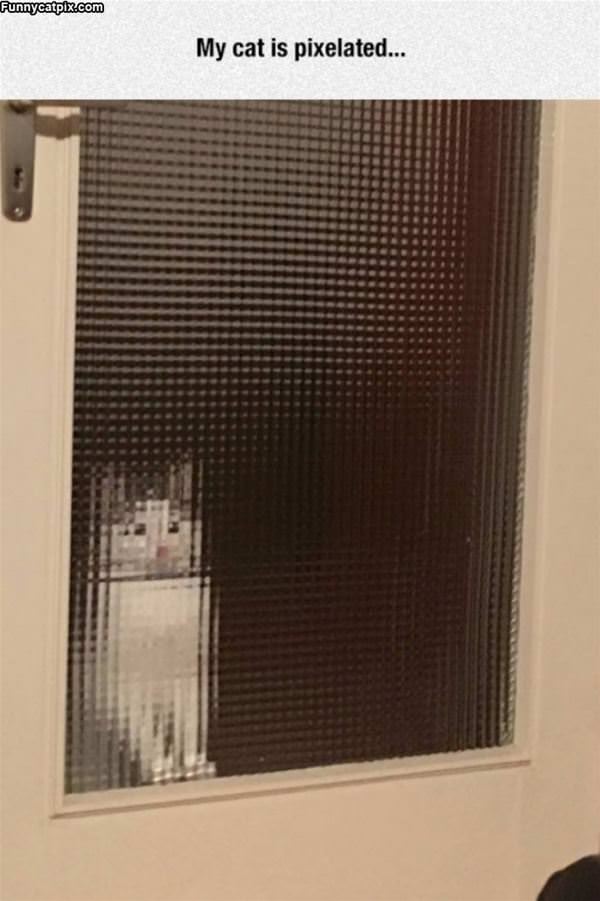 Pixelated Cat