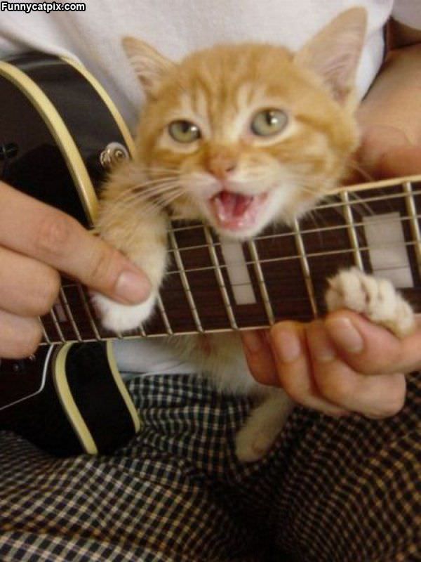 Playing Some Guitar