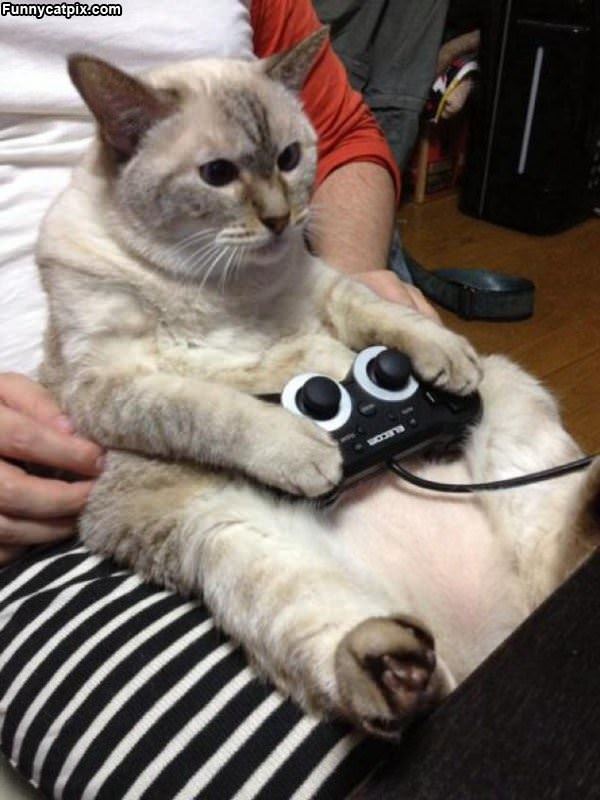 Playing Some Video Games