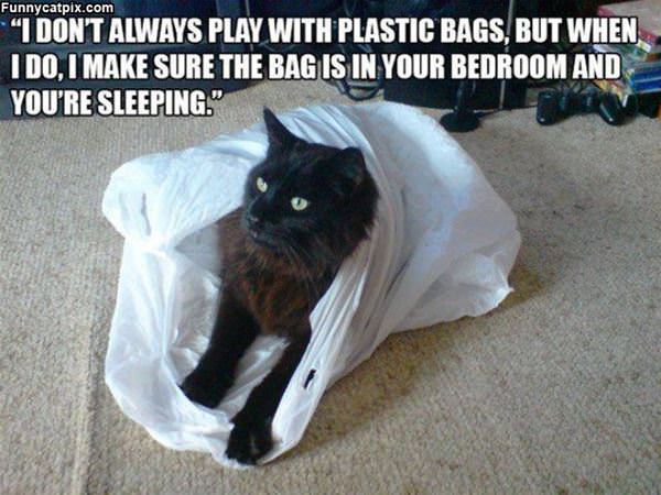 Playing With Plastic Bags