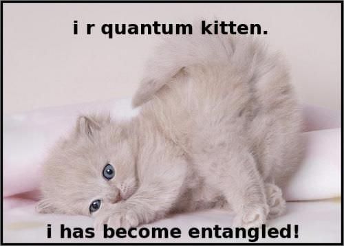 Quantum Kitten
