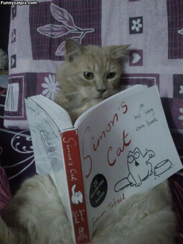 Reading Simons Cat