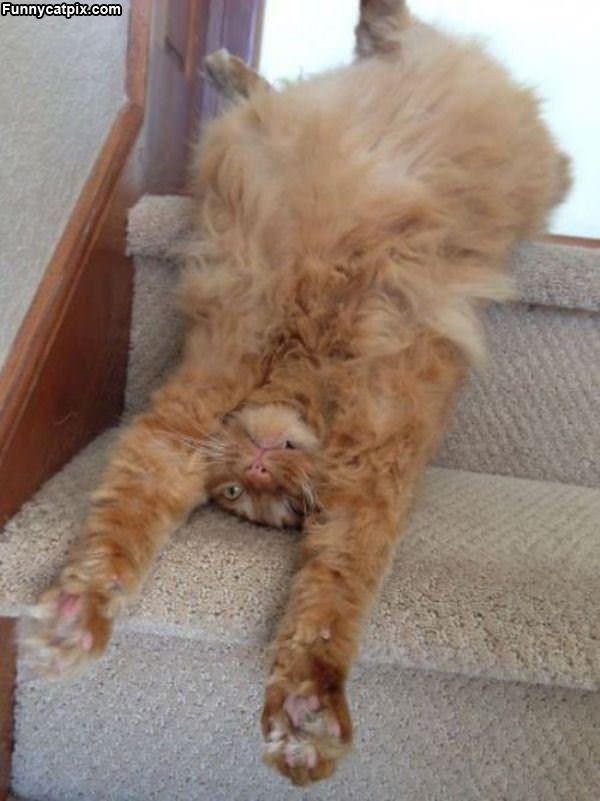 Rolling Down The Stairs