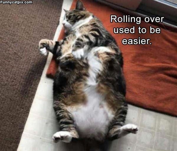 Rolling Used To Be Easier