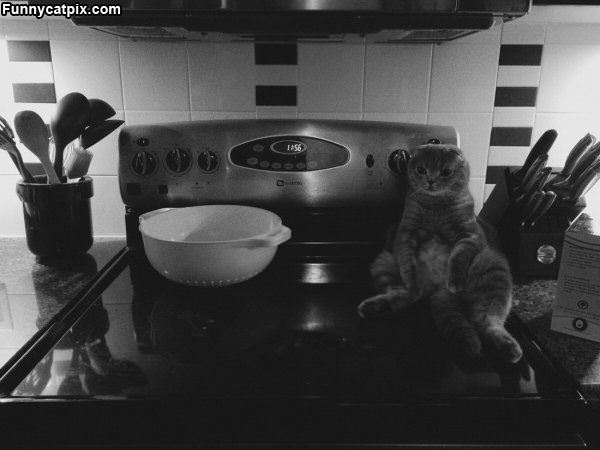 Sitting On The Stove