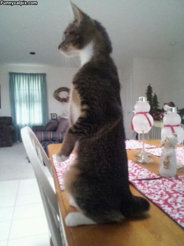 Sitting Tall