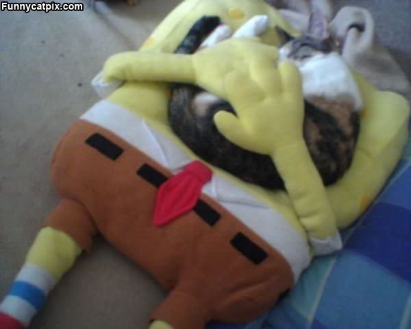 Spongebob Cat Bed