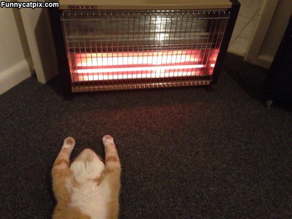 Staying Very Warm