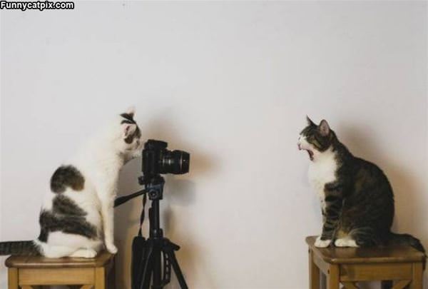 Take The Picture Already