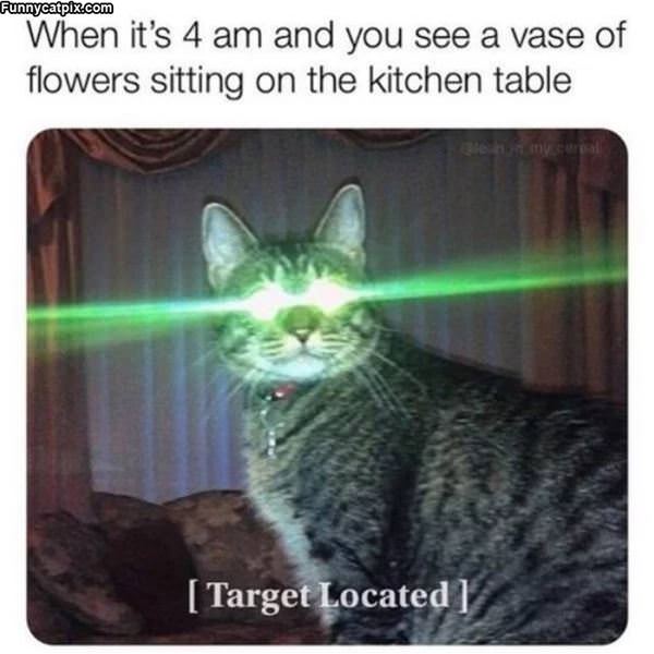 Target Located
