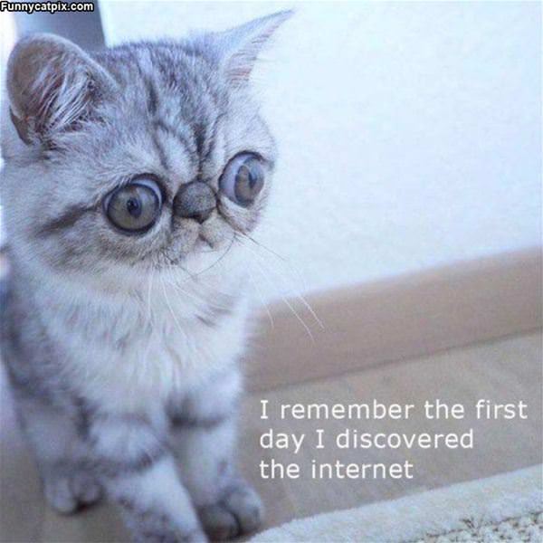 The First Day On The Internet