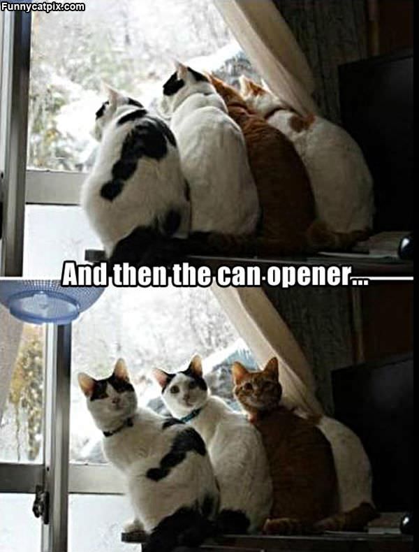 Then The Can Opener
